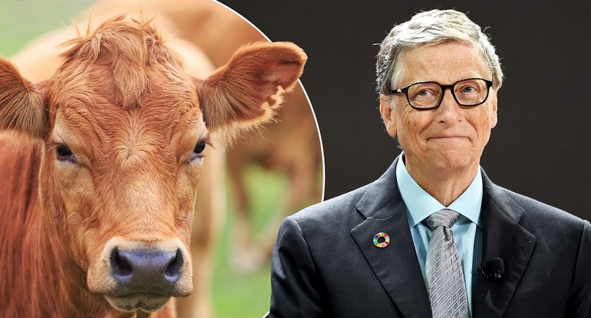 Bill Gates’in İneklerle Ne Alıp Veremediği Var!?